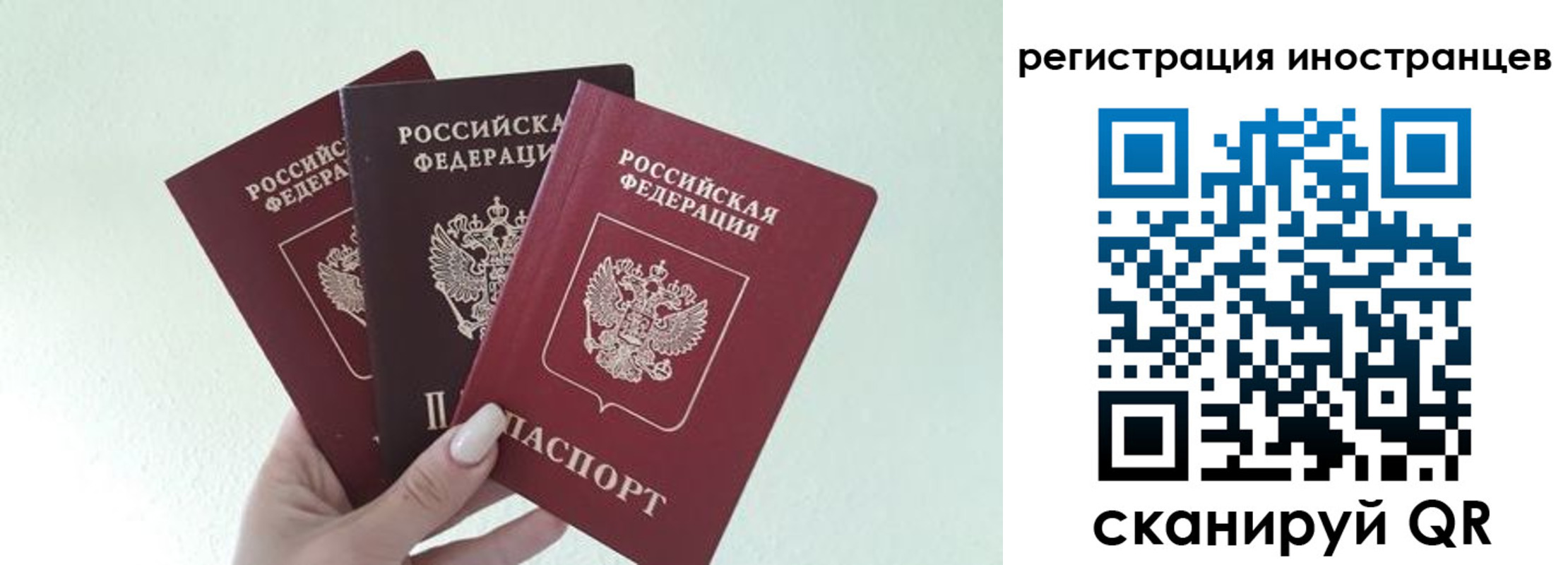 миграционный учет в Мончегорске